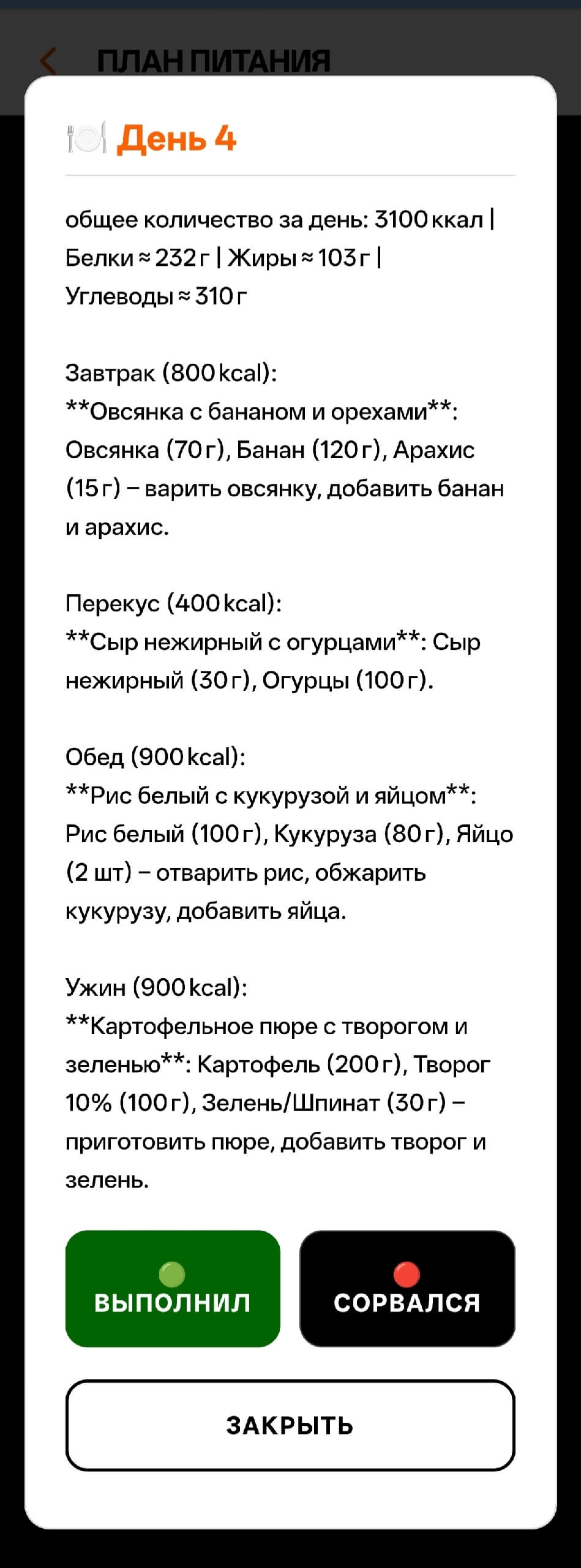 План питания ИИ 1