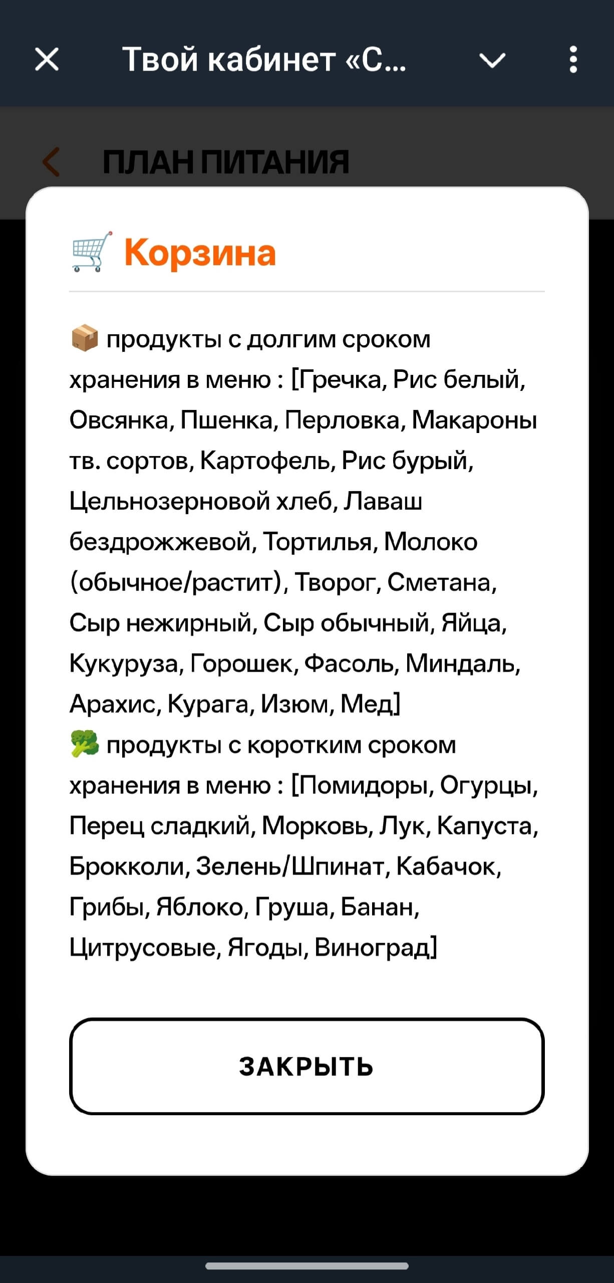 План питания ИИ 2