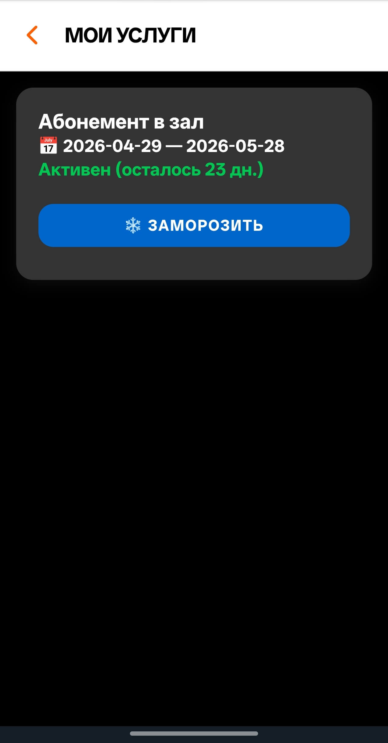 Mini App Услуги