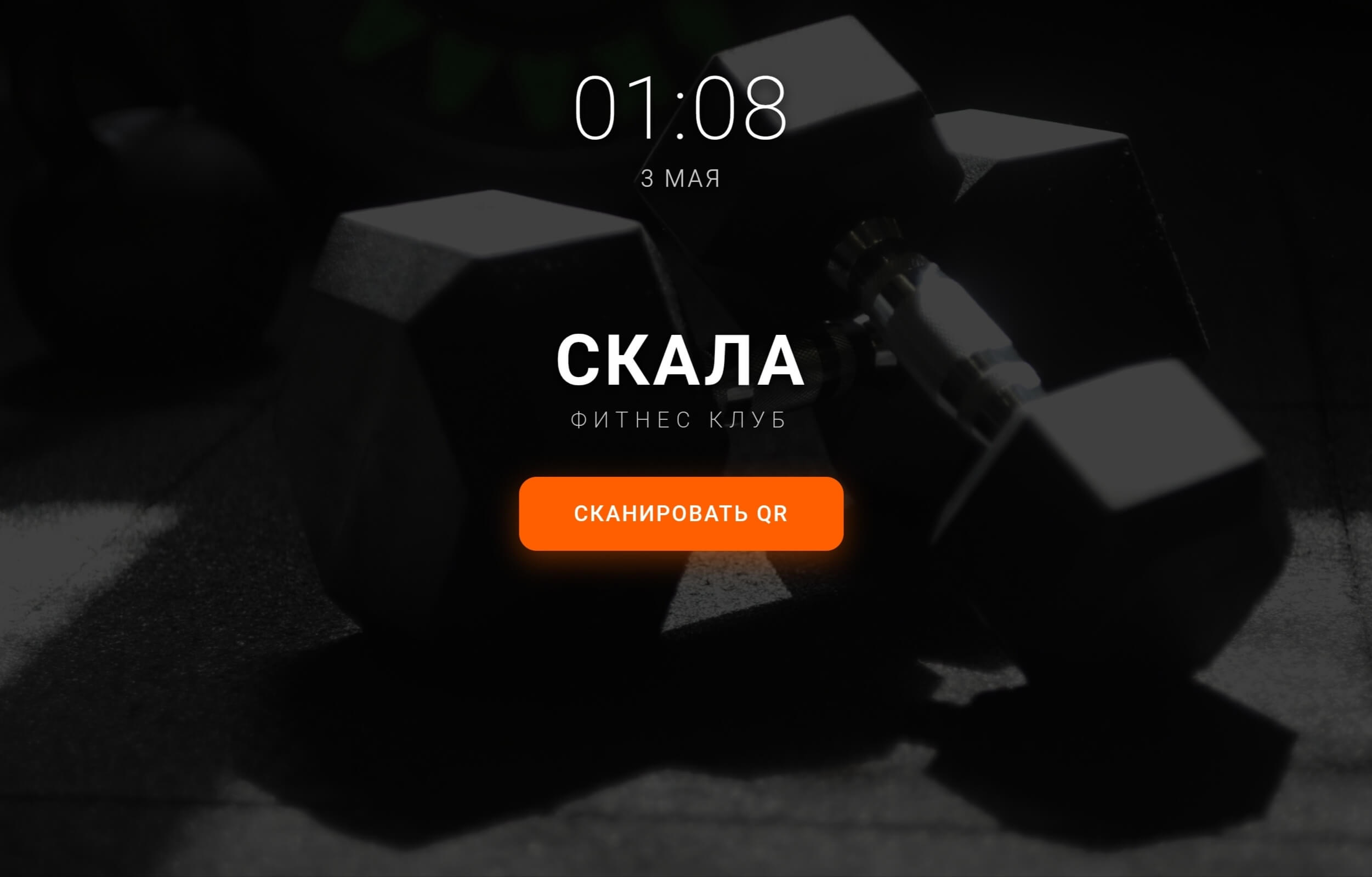 Терминал 1